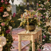 Blissfull Weddings